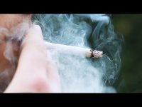 Le Tabagisme, la fumée et ses effets sur la vision et la santé. Le Tabagisme, la fumée et ses effets sur la vision et la santé.