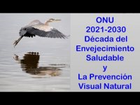 La ONU y la rehabilitación funcional natural para la década de la VEJEZ SALUDABLE La ONU y la rehabilitación funcional natural para la década de la VEJEZ SALUDABLE