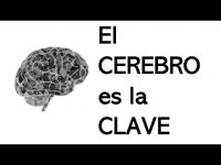 Para Ver Mejor.:el Cerebro es la Clave. Para Ver Mejor.:el Cerebro es la Clave.