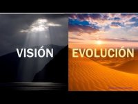 La Clave para Rehabilitar la Visión es Dedicación y Perseverancia. La Clave para Rehabilitar la Visión es Dedicación y Perseverancia.