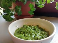 VIE SAINE, Un cadeau de la nature: Pesto de l 'ail des ours VIE SAINE, Un cadeau de la nature: Pesto de l 'ail des ours