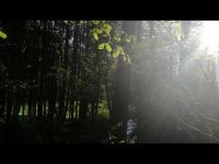 Vie Saine. Mini Meditation Integrative avec la Nature Vie Saine. Mini Meditation Integrative avec la Nature